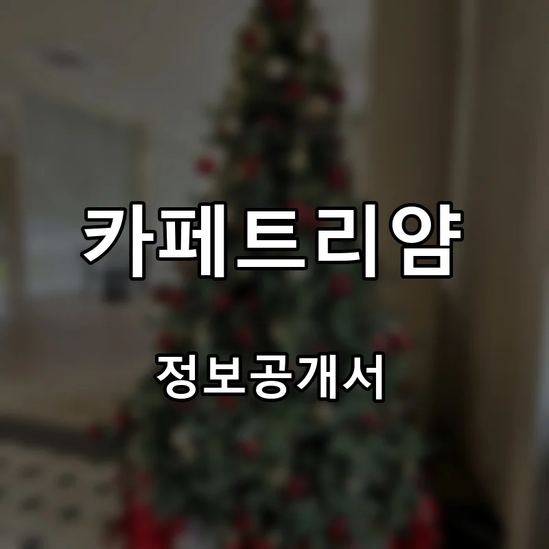카페트리얌 프랜차이즈 창업 비용 정보공개서 요약