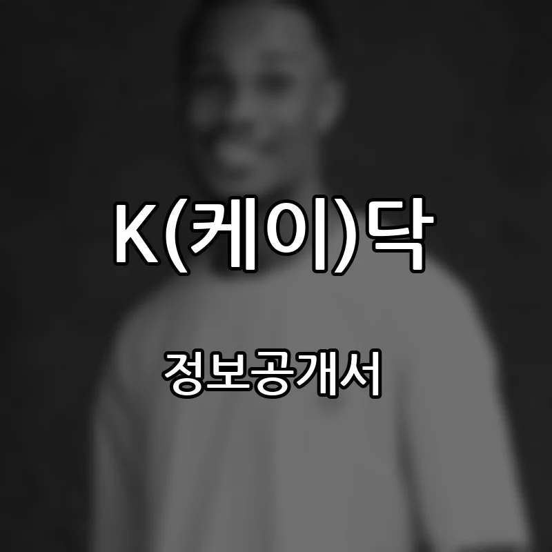 K(케이)닥 프랜차이즈 창업 비용 정보공개서 요약