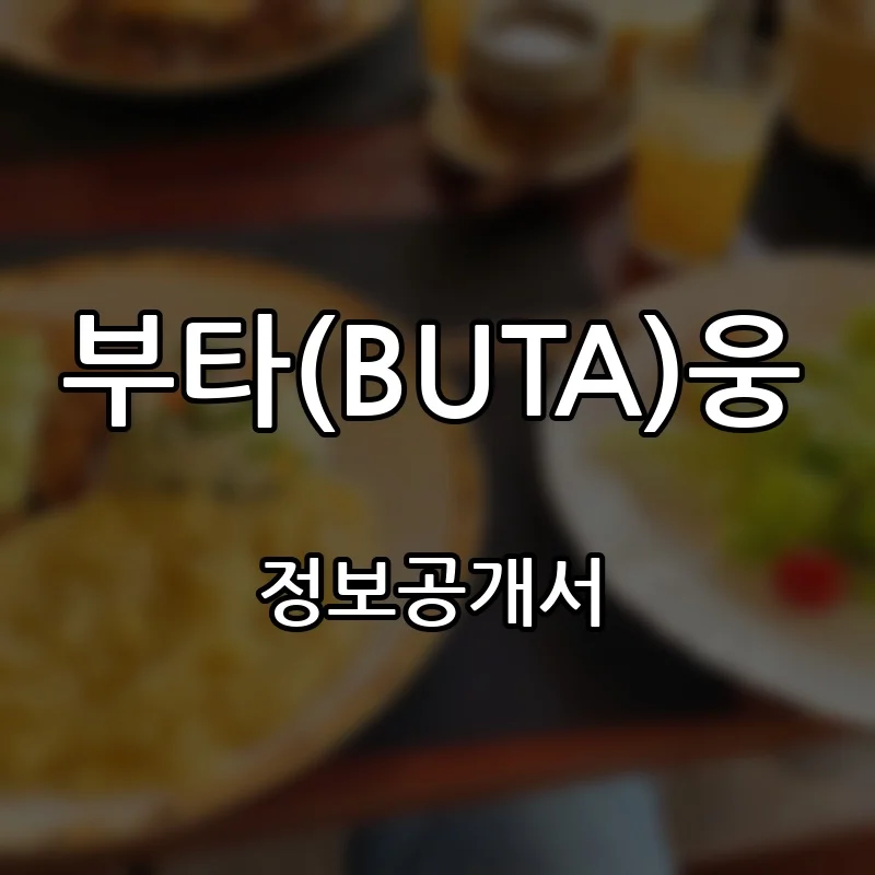 부타(BUTA)웅 프랜차이즈 창업 비용 정보공개서 요약