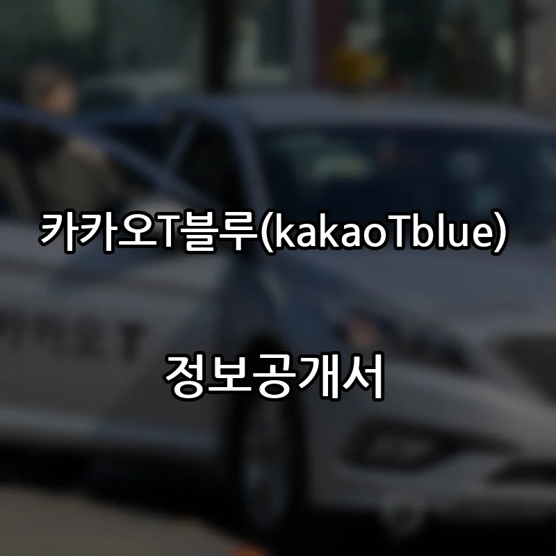 카카오T블루(kakaoTblue) 프랜차이즈 창업 비용 정보공개서 요약