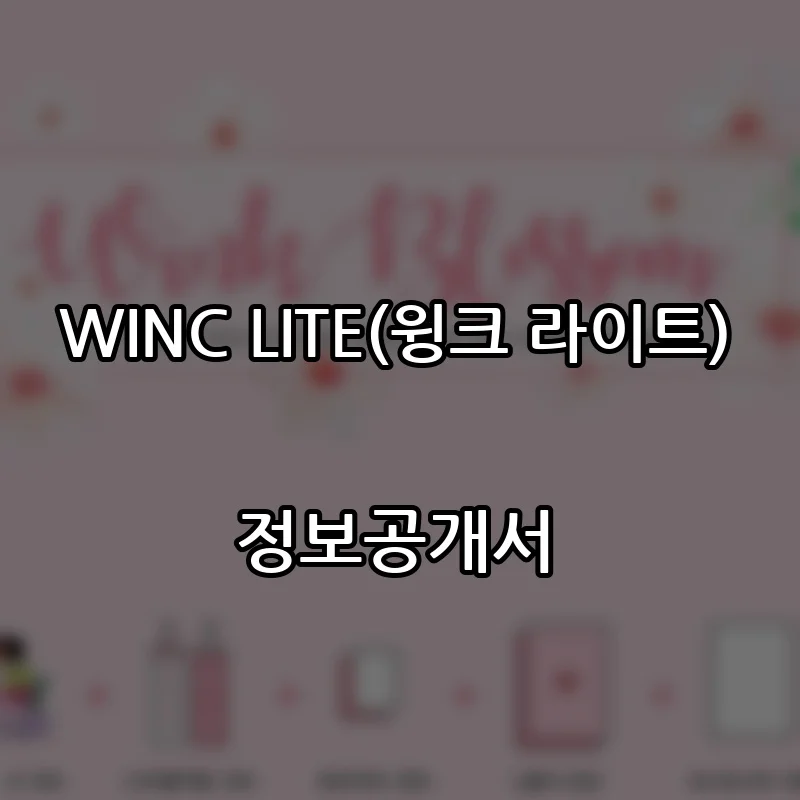 WINC LITE(윙크 라이트) 창업 프랜차이즈 정보공개서 요약 2026.02.23