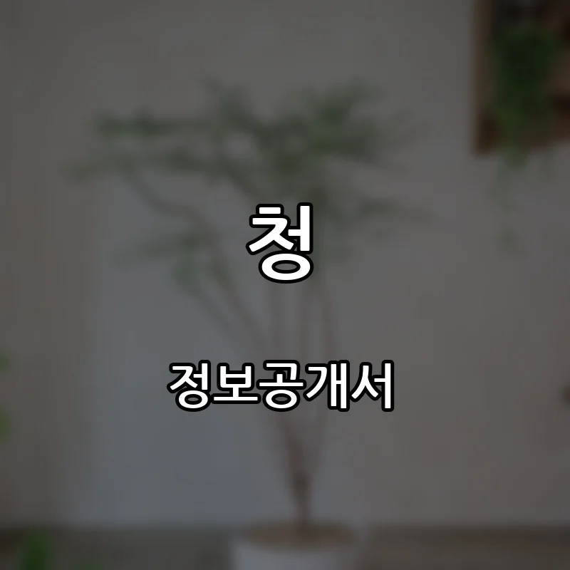 청 프랜차이즈 창업 비용 정보공개서 요약