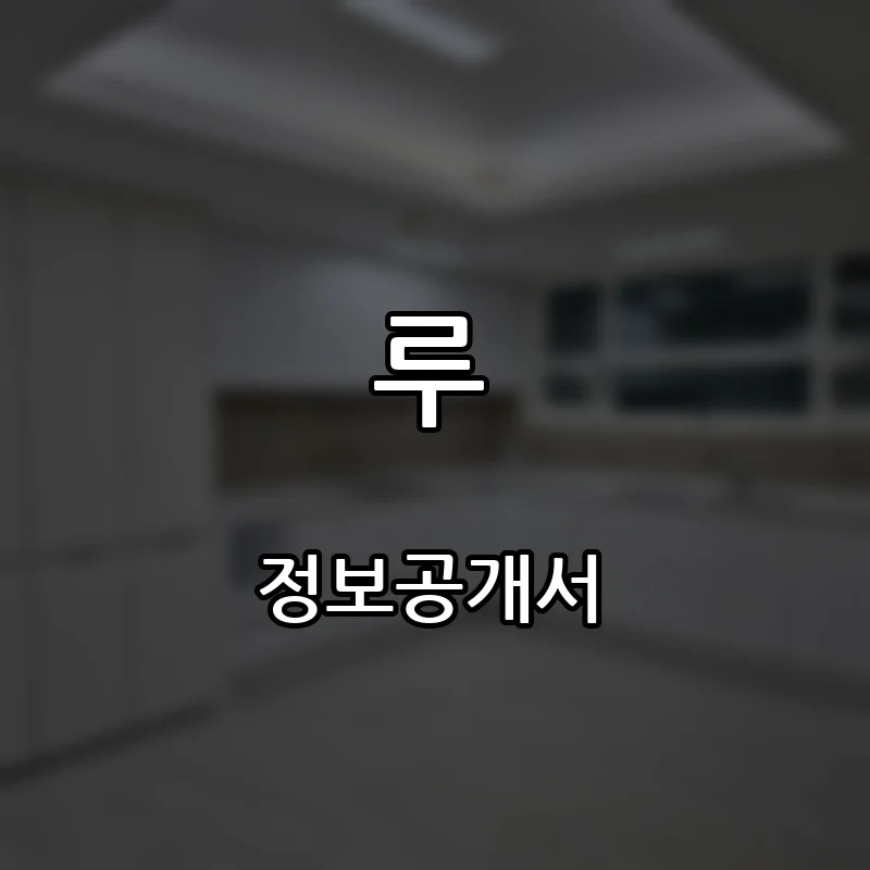 루 프랜차이즈 창업 비용 정보공개서 요약