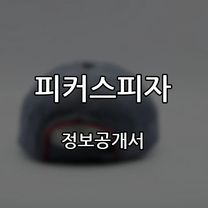 피커스피자(picker's pizza) 프랜차이즈 창업 비용 정보공개서 요약