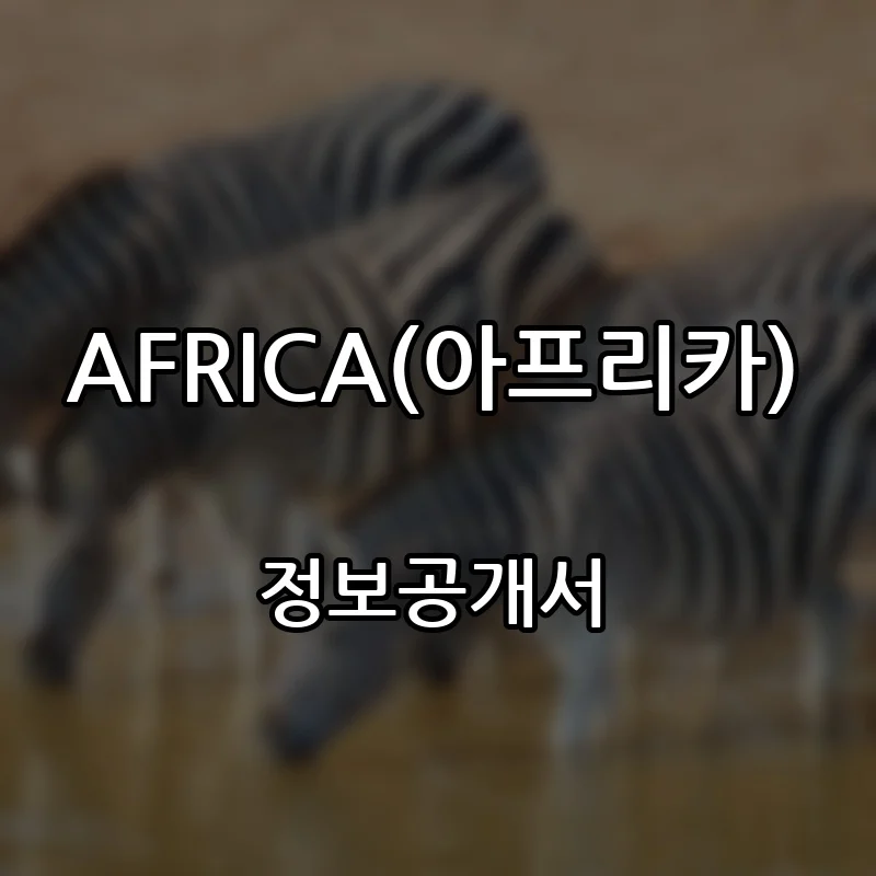 AFRICA(아프리카) 창업 프랜차이즈 정보공개서 요약 2025.08.06