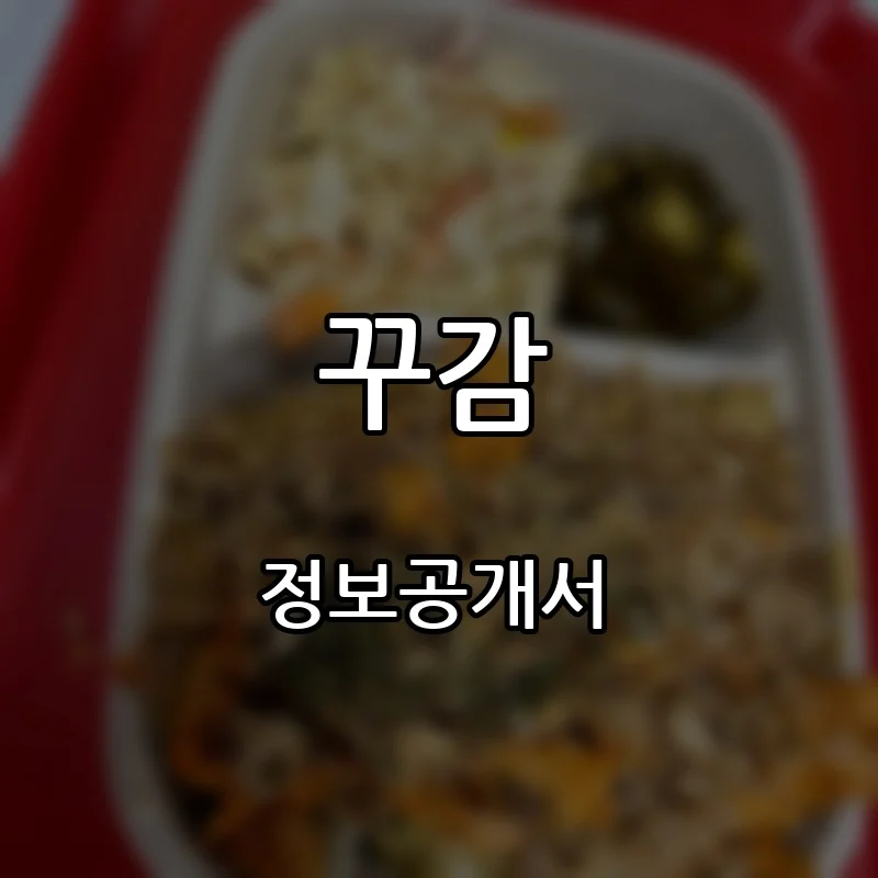 꾸감 프랜차이즈 창업 비용 정보공개서 요약
