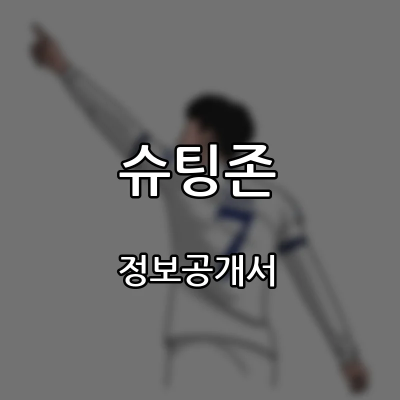 슈팅존 프랜차이즈 창업 비용 정보공개서 요약
