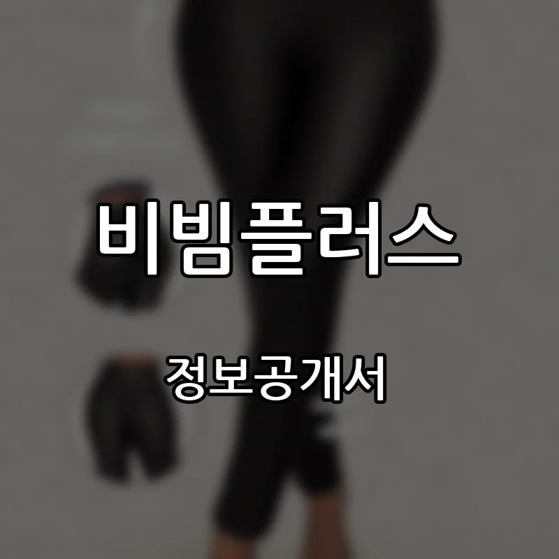 비빔플러스 프랜차이즈 창업 비용 정보공개서 요약