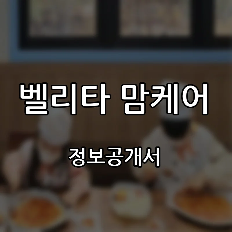 벨리타 맘케어 프랜차이즈 창업 비용 정보공개서 요약