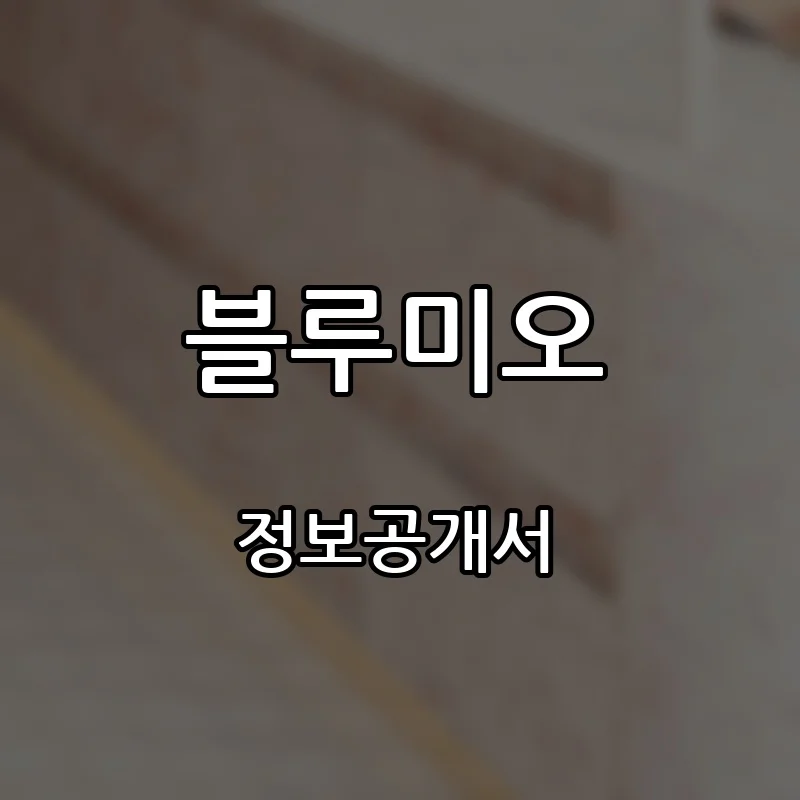 블루미오 프랜차이즈 창업 비용 정보공개서 요약