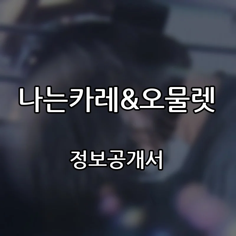 나는카레&오물렛 창업 프랜차이즈 정보공개서 요약 2026.08.31