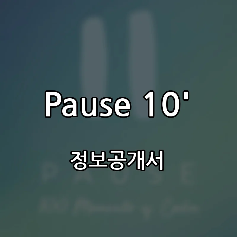 Pause 10′ 창업 프랜차이즈 정보공개서 요약 2026.05.13