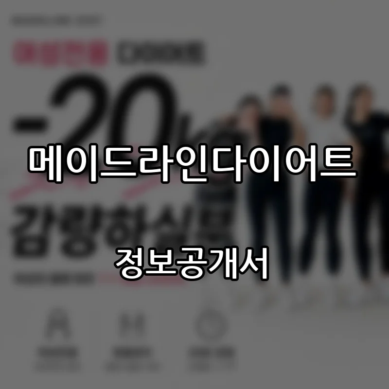 메이드라인다이어트 창업 프랜차이즈 정보공개서 요약 2025.12.24