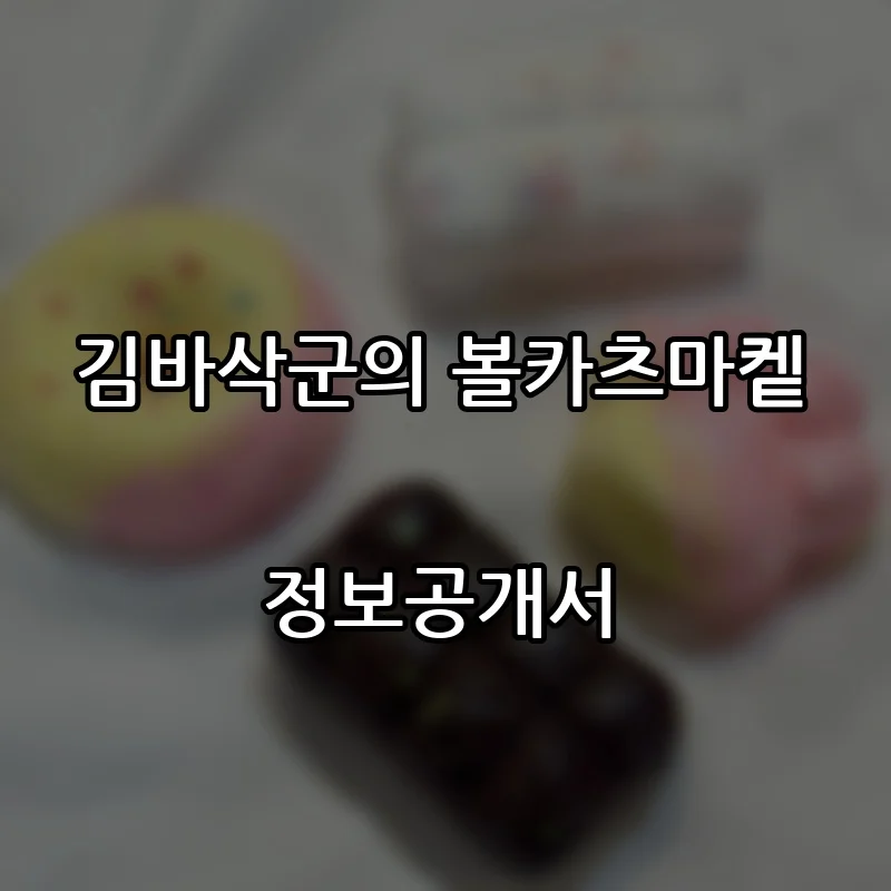 김바삭군의 볼카츠마켙 창업 프랜차이즈 정보공개서 요약 2026.05.12