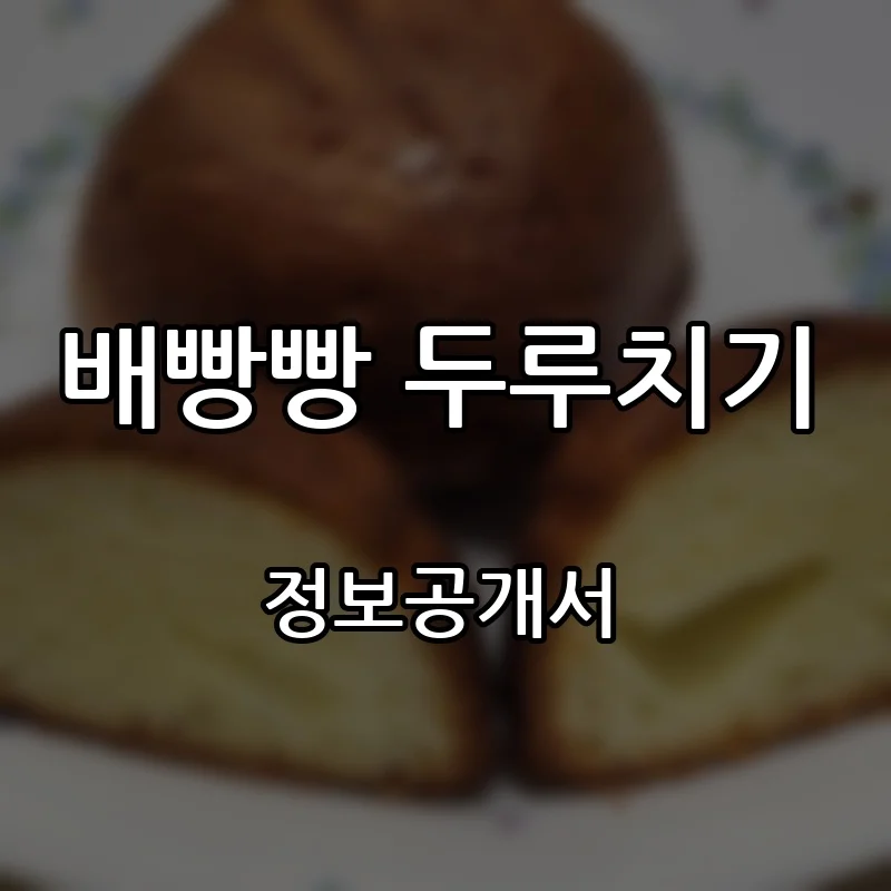 배빵빵 두루치기 창업 프랜차이즈 정보공개서 요약 2026.10.21