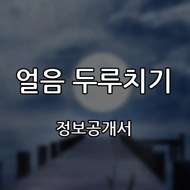 얼음 두루치기 창업 프랜차이즈 정보공개서 요약 2026.10.21