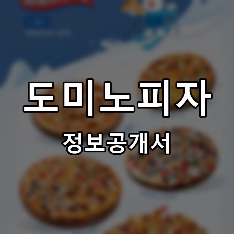도미노피자 프랜차이즈 정보공개서 요약