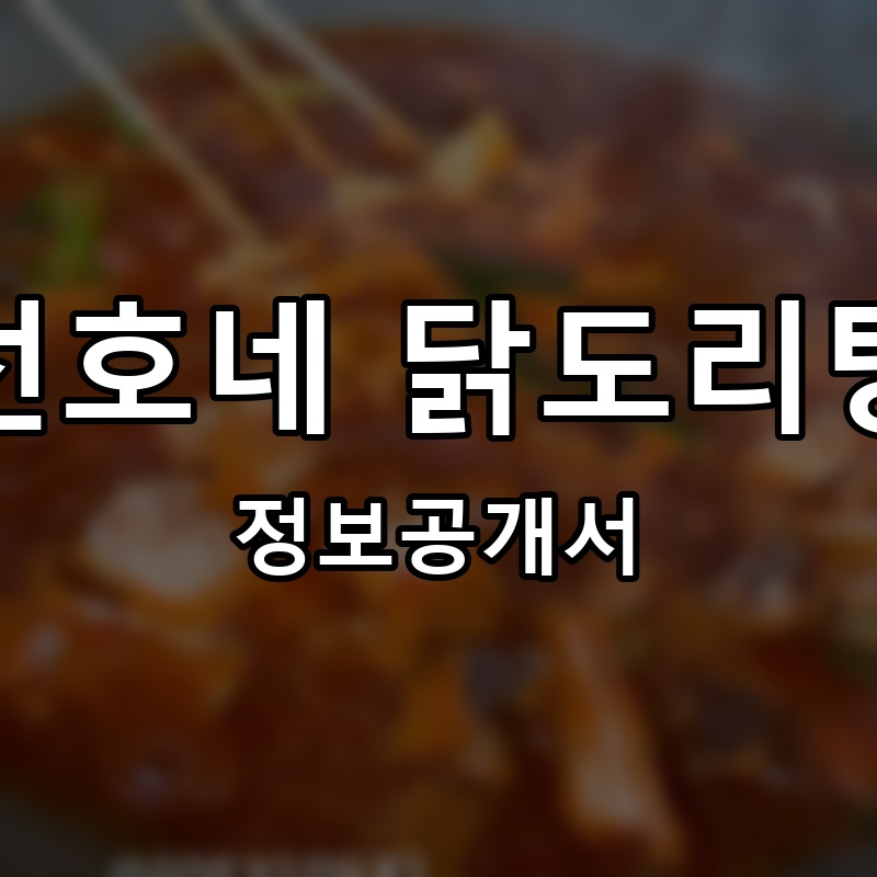 선호네 닭도리탕 프랜차이즈 정보공개서 요약