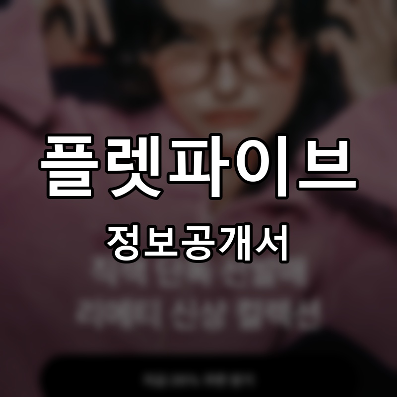 플렛파이브 프랜차이즈 정보공개서 요약