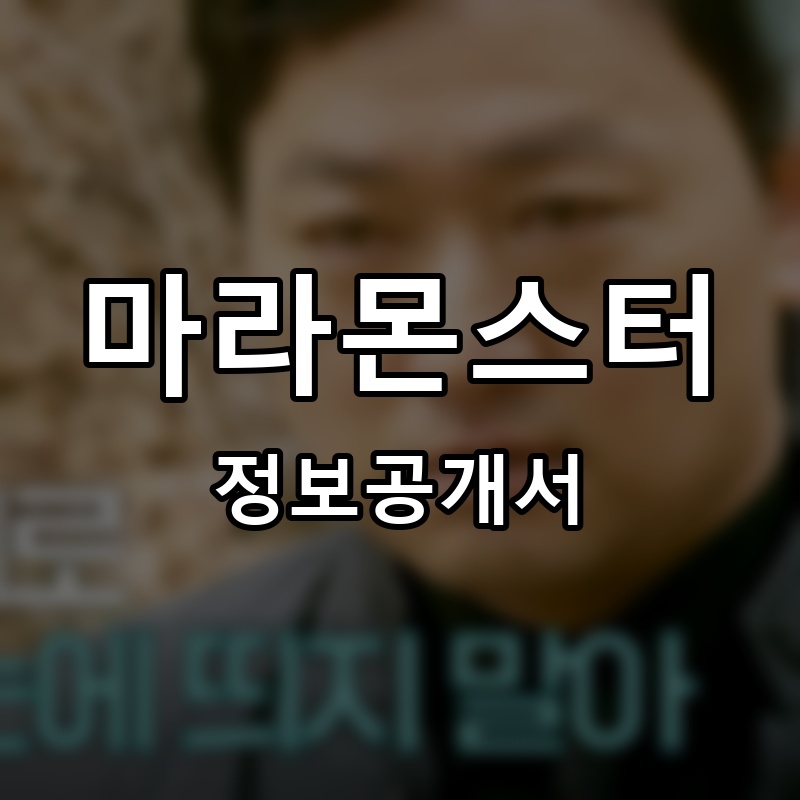 마라몬스터 프랜차이즈 정보공개서 요약