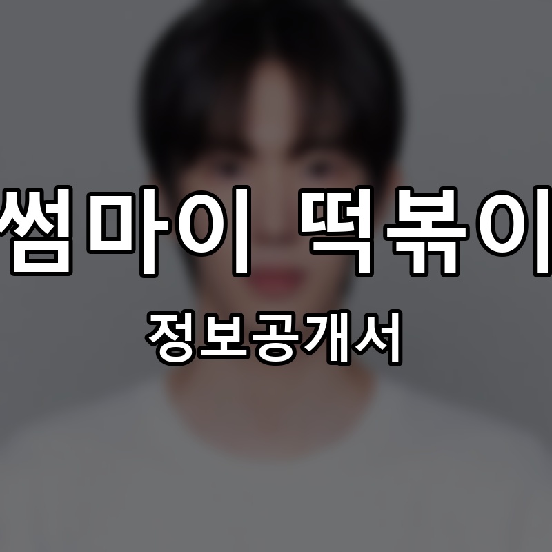 썸마이 떡볶이 프랜차이즈 정보공개서 요약