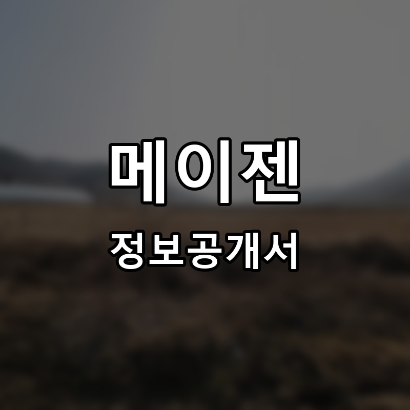 메이젠 프랜차이즈 정보공개서 요약