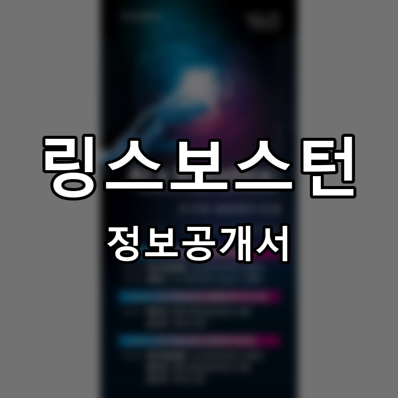 링스보스턴 프랜차이즈 정보공개서 요약