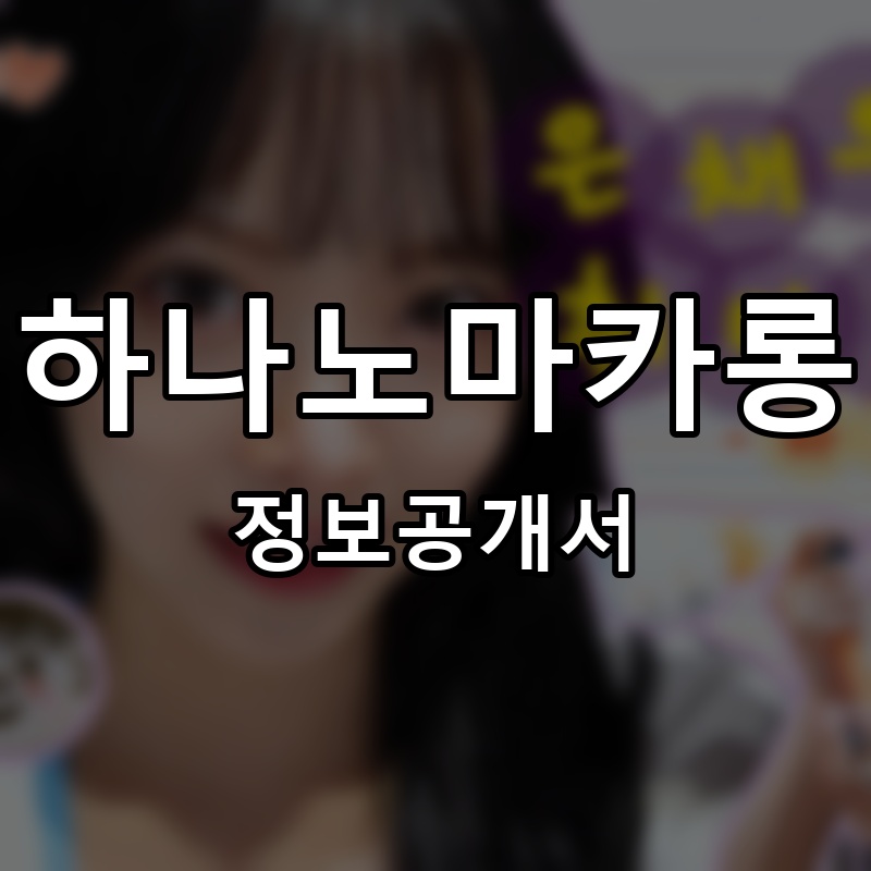 하나노마카롱 프랜차이즈 정보공개서 요약