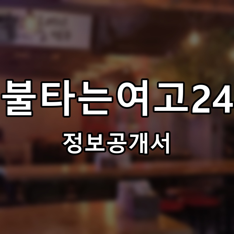 정아니의불타는여고24시떡볶이 프랜차이즈 정보공개서 요약