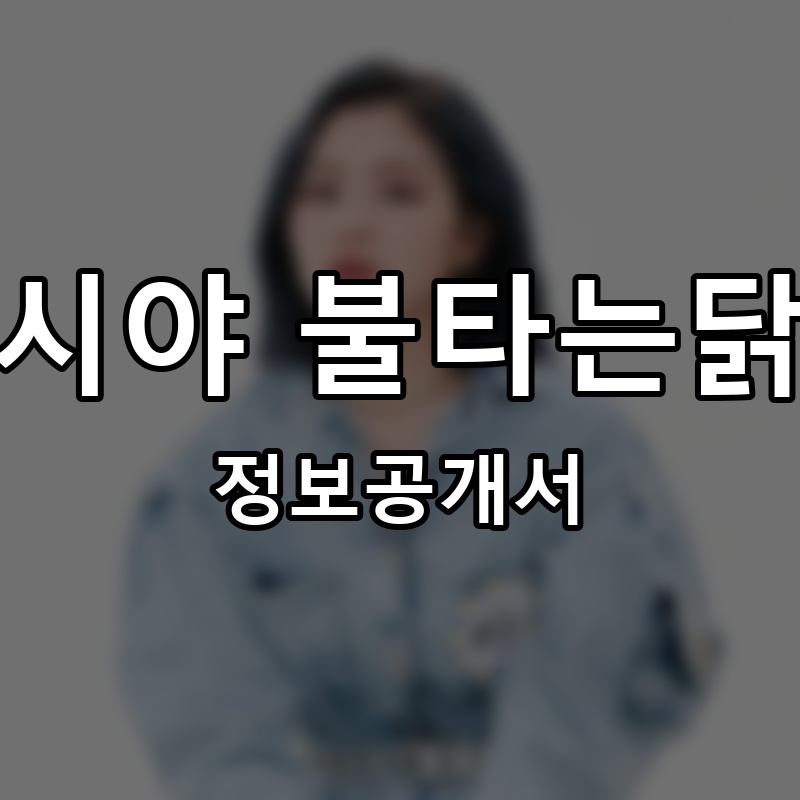 여시야 불타는닭발 프랜차이즈 정보공개서 요약