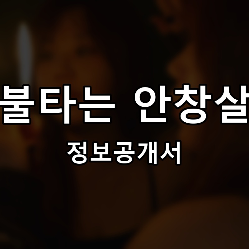 불타는 안창살 프랜차이즈 정보공개서 요약