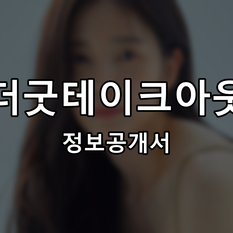 더굿테이크아웃 프랜차이즈 정보공개서 요약