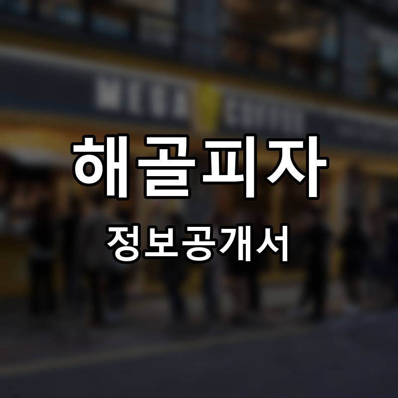 해골피자(HAEGOAL PIZZA) 프랜차이즈 정보공개서 요약