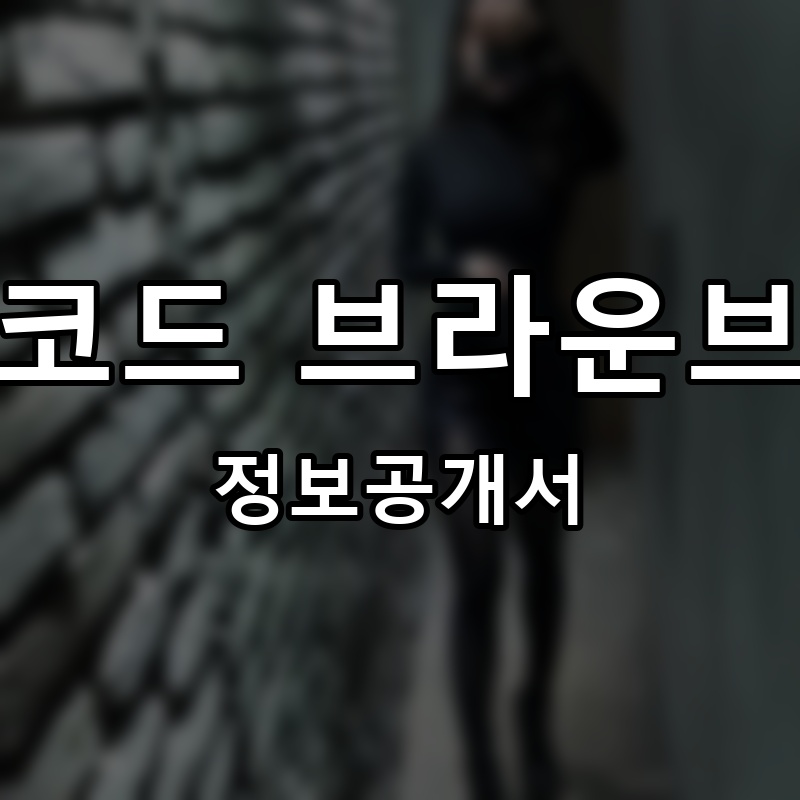 카페코드 브라운브릭스 프랜차이즈 정보공개서 요약