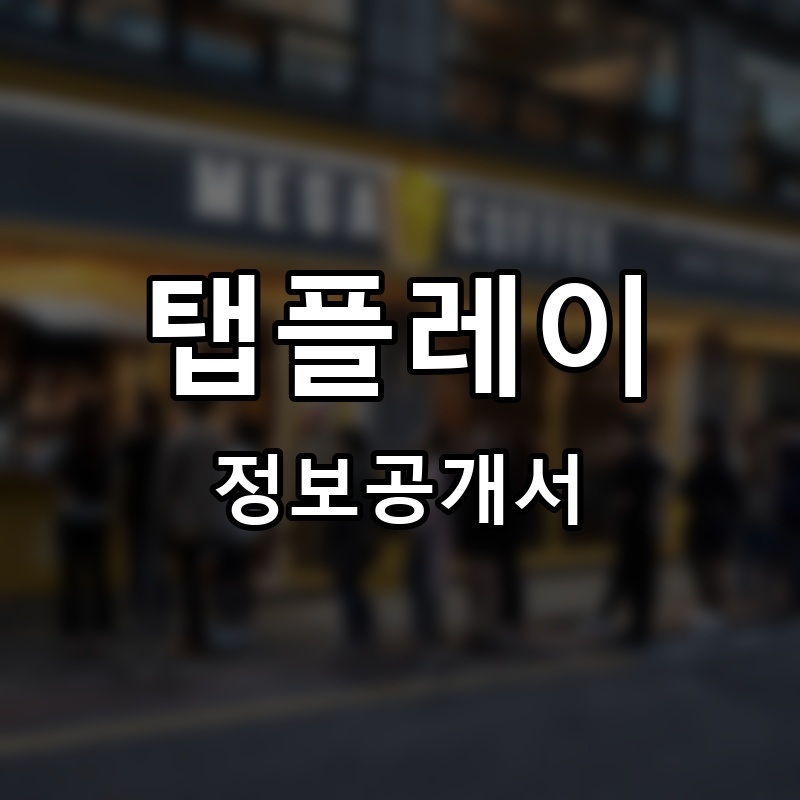 탭플레이(TAPLAY) 프랜차이즈 정보공개서 요약