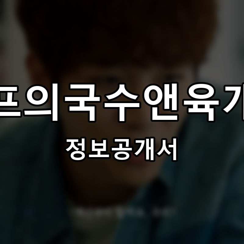 셰프의국수앤육개장 프랜차이즈 정보공개서 요약