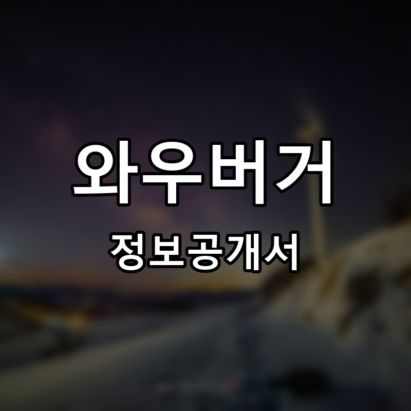 와우버거 프랜차이즈 정보공개서 요약
