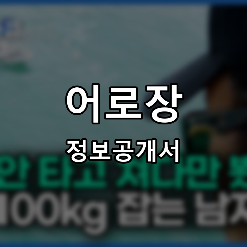 어로장 프랜차이즈 정보공개서 요약