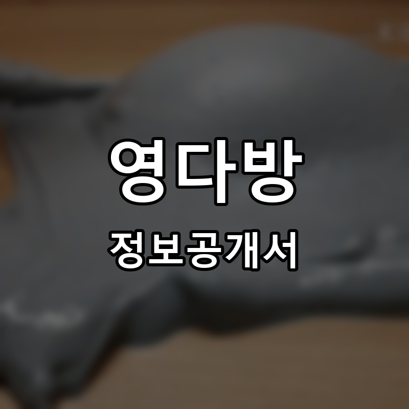영다방 프랜차이즈 정보공개서 요약