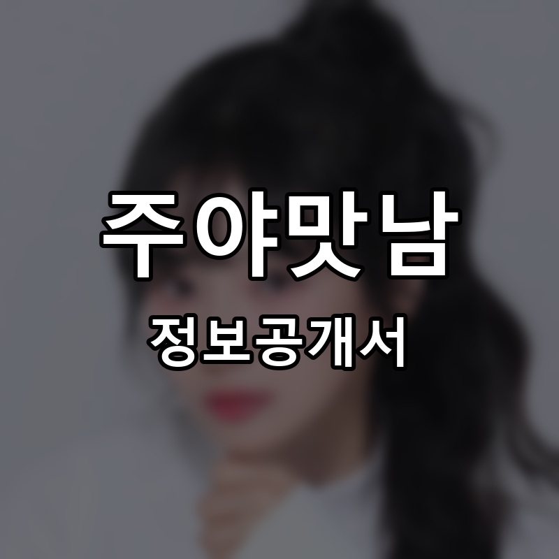 체리주막 프랜차이즈 정보공개서 요약