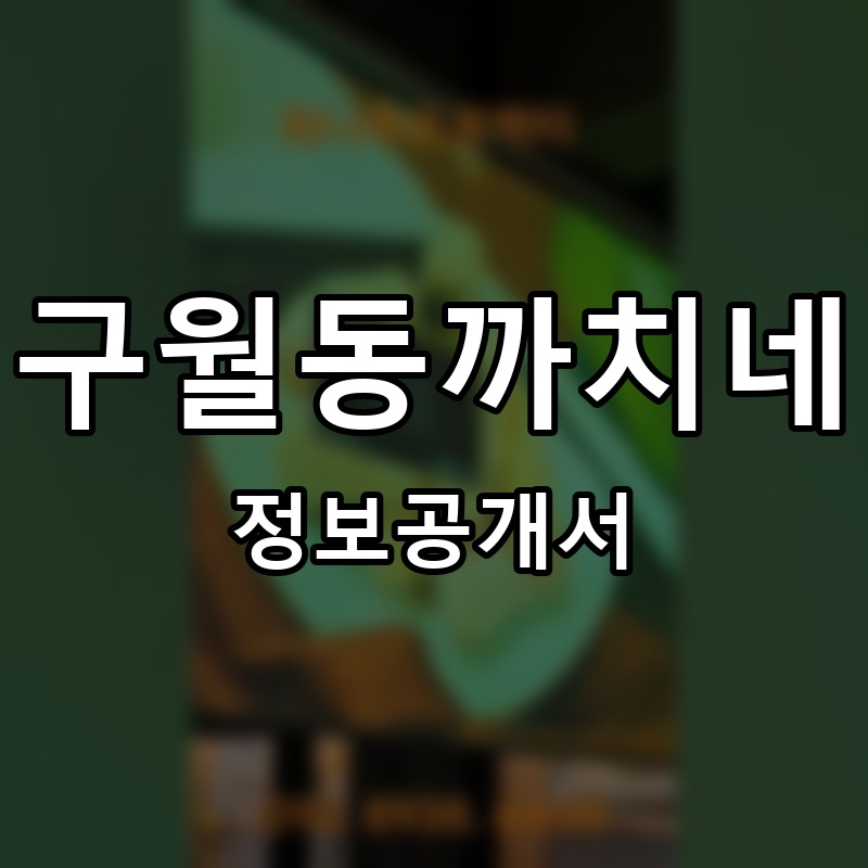구월동까치네 프랜차이즈 정보공개서 요약