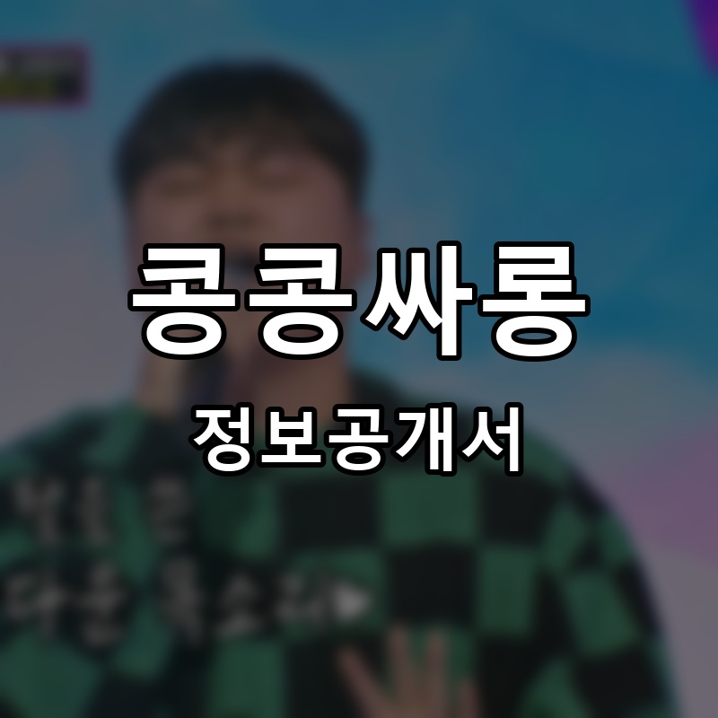 콩콩싸롱 프랜차이즈 정보공개서 요약