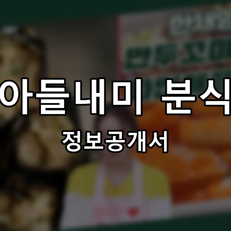 아들내미 분식 프랜차이즈 정보공개서 요약