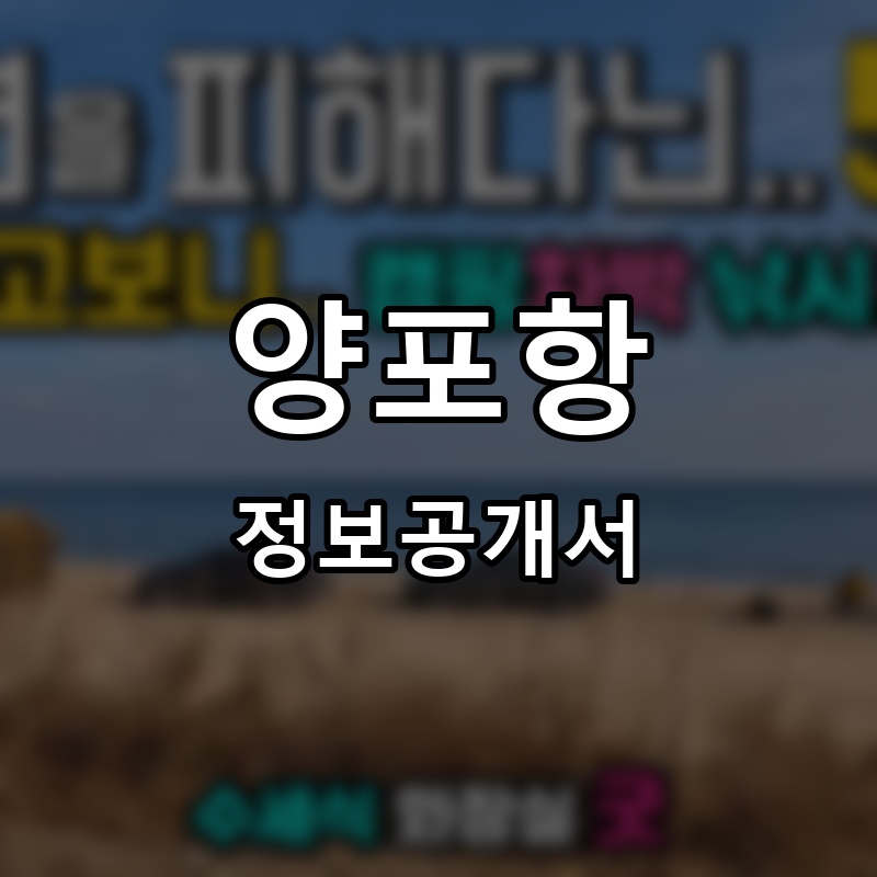 양포항 프랜차이즈 정보공개서