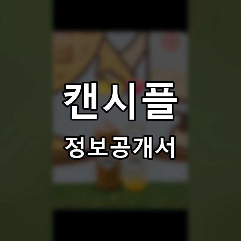 캔시플 프랜차이즈 정보공개서 요약