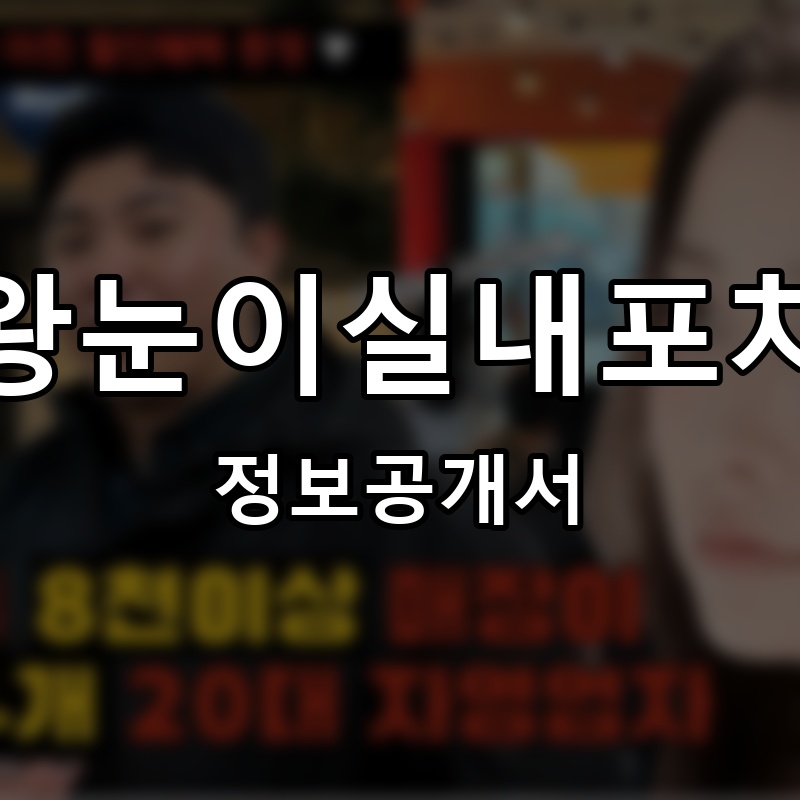 왕눈이실내포차 프랜차이즈 정보공개서 요약