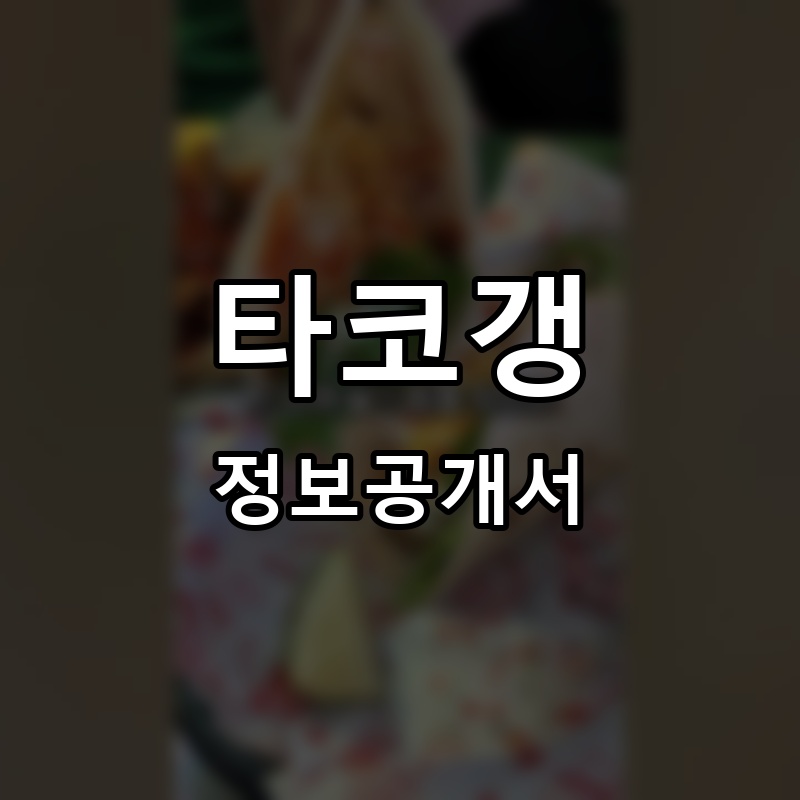 타코갱 프랜차이즈 정보공개서 요약
