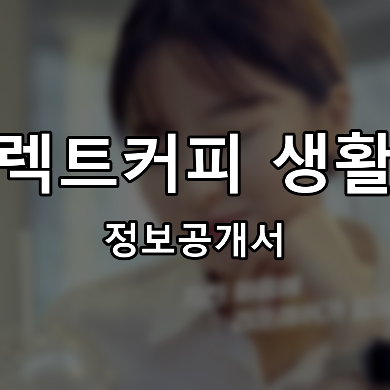 다이렉트커피 생활카페 프랜차이즈 정보공개서 요약