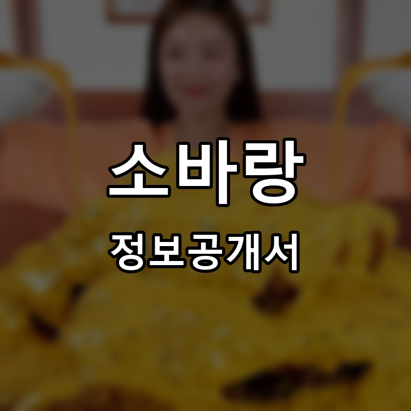 돈까스주는 모밀집 프랜차이즈 정보공개서 요약