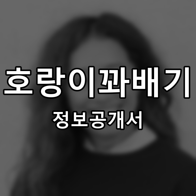 호랑이꽈배기 프랜차이즈 정보공개서 요약